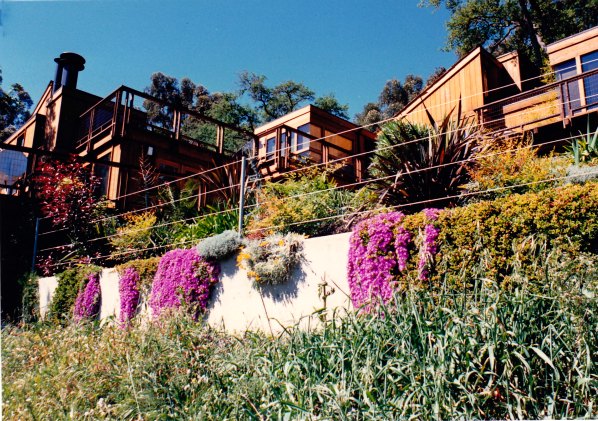 Ryley Residence Landscape Design