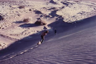 sand dune run